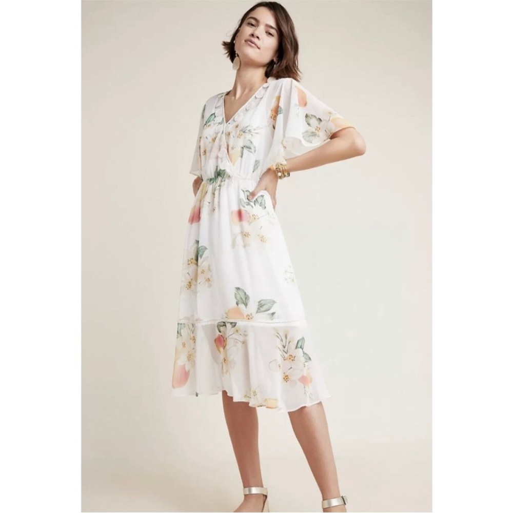 Farm Rio Eloisa Floral Sheer Dress size small slip NOT included - Picture 5 of 14
